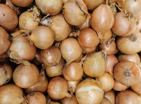 yellow onions
