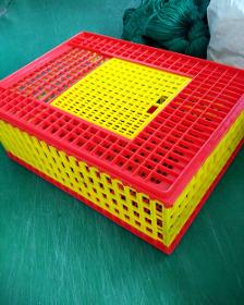 Poultry plastic chicken/chick/broiler /duck transport cage