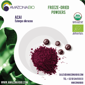 Organic Açaí Freeze-Dried Powder with 20% of Tapioca
