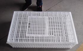 960×560×270mm white chicken/duck/poutry transport cage 