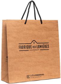 Luxury Craft Paper Bags