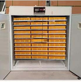 Solar Industrial Chicks Egg Incubator Machine