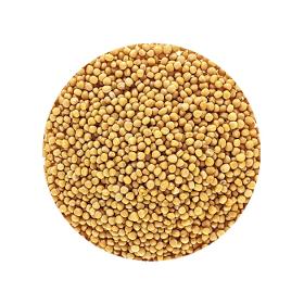 Mustard Seed Whole Sinapis Alba Low Erucic Acid Organic