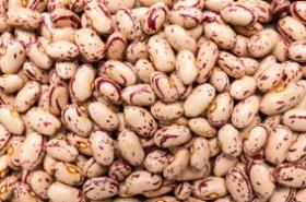 We Supply Bulk Red Speckled Beans