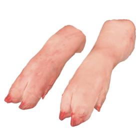 Frozen Pork Front Feet 