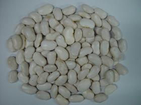 White large kidney beans