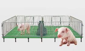 piglet livestock weaner crate/pen