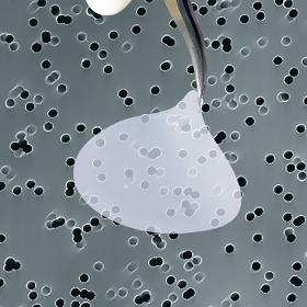 ipCELLCULTURE™ Track-Etched Membrane Filters
