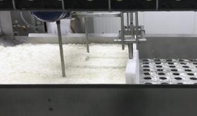 DAIRY PRODUCTION LINE