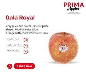 Gala Royal Apples