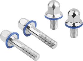 Hex head bolts stainless steel with seal washer in hygienic