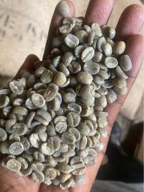 unroasted coffee beans 100% Arabica