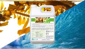 Fertilizer enriched with Manganese