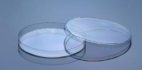 120x15mm Petri Dish