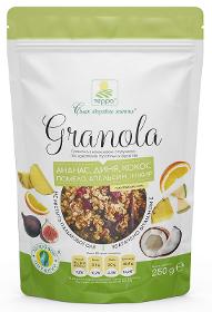 Granola With Coconut Flakes and Candied Tropical Fruits