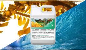 Micronized seaweed extract - growth promoter