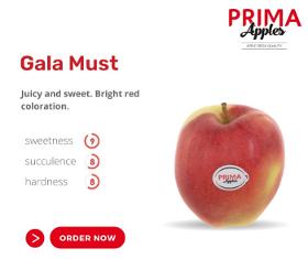 Gala Must Apples