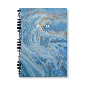 Erasable Notebook | Ring Binder A5 | New Designs Beyond Blue / Rocksolid