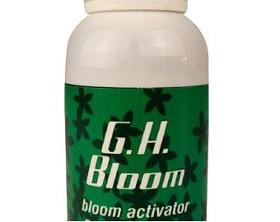 Bio Bloom Green Power
