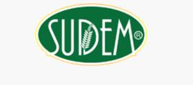 Sudem Strawberry Flavored Topping Sauce