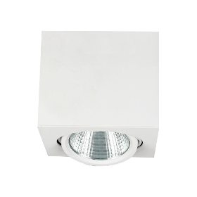 Surface Mounted COB LED Downlight