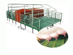 3.6*2.2*1m Sow/pig Farrowing Crate 
