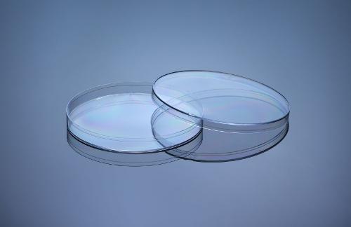 150x15mm Petri Dish