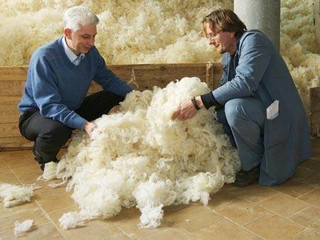 SCOURED AND WASHABLE WOOL