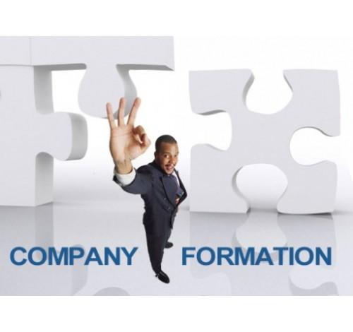 Establishment and registration of companies