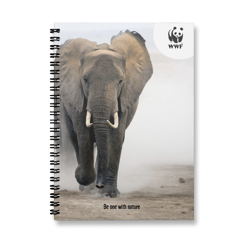 Erasable Notebook: WWF x MOYU | Ring Binder A5 Elephant