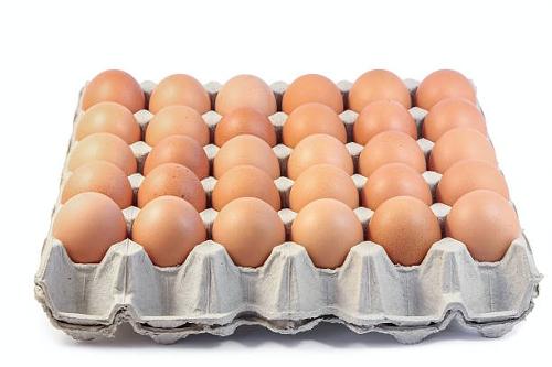 Wholesale Chicken eggs Table white Eggs