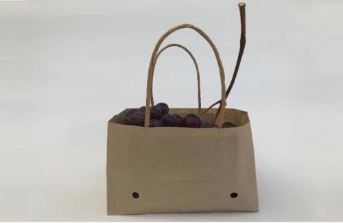 wet strength kraft paper bag for table grapes with twisted h