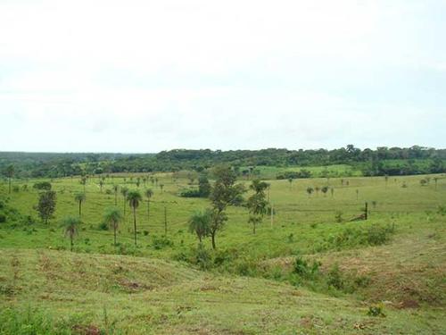 Farmland for sale in Tocantins Brasil