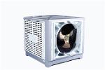 Industrial Fixed Air Cooler