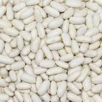 White Beans (Alubia)
