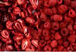 Freeze Dried Fruits | Strawberries , Raspberries & Much More