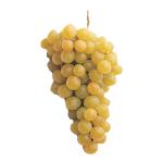 Buy Table Bagged Grapes in Bulk from Spain