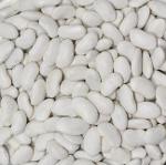White Beans (Tchali)