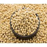 Organic Soybean Seeds,Wholesale Soya beans Seeds