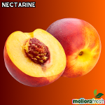 Nectarine