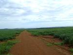 Farmland for sale in Tocantins Brasil