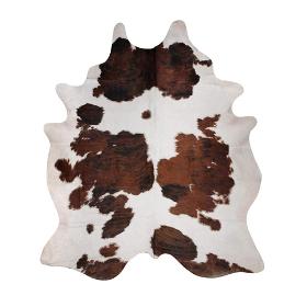 Wet Blue Salted/ Dry Cow Hides