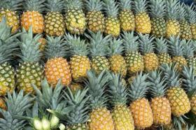 Pineapple / Pineapple