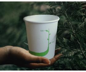 BIO Compostable cups for hot drinks 200 ml - 50 pcs