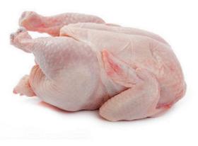 halal frozen brazilian chicken for sale