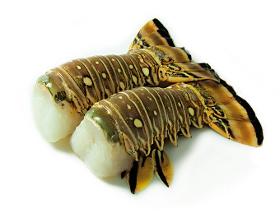 Raw lobster tail