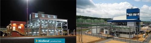 Biodiesel production EPC