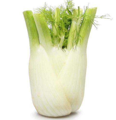 Italy Fennel